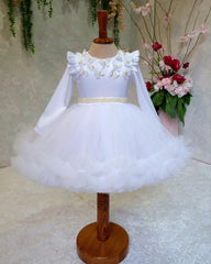 Front view of butterfly embellished white flower dress with floral details for girls.
